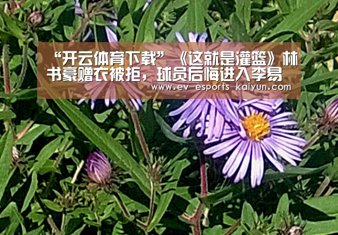 “开云体育下载”《这就是灌篮》林书豪赠衣被拒,球员后悔进入李易峰队(图2) 开云体育下载