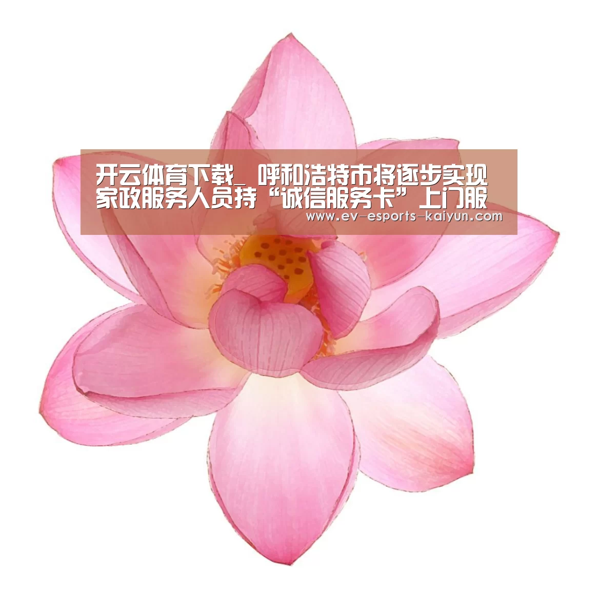 开云体育下载_
呼和浩特市将逐步实现家政服务人员持“诚信服务卡”上门服务(图1) 开云全站下载