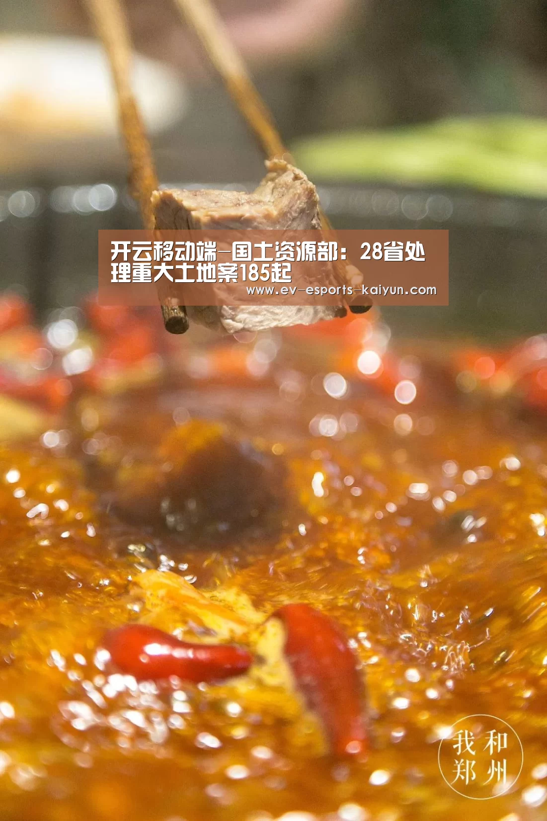 开云移动端-国土资源部:28省处理重大土地案185起(图2) 开云移动端